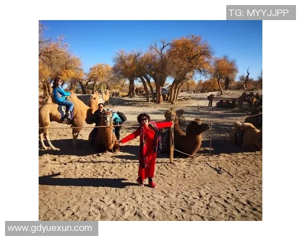 极限挑战与梦想追逐：北京极限运动队的奋斗与荣耀之路